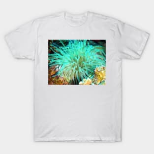 Giant Green Sea Anemone T-Shirt